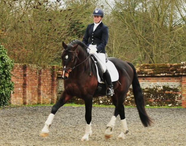 Screen Shot 2016-02-10 at 11.19.59