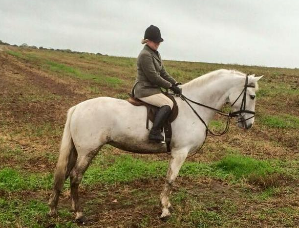 Screen Shot 2016-02-18 at 12.25.31