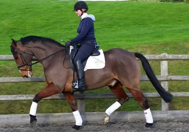 Screen Shot 2016-02-22 at 16.02.31