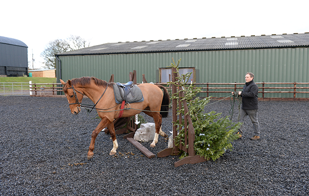 Simon Parker with a 15 Hand Breaker called Red at Sarah & Simon Parker's yard at Glebe Farm in Bronington near Whitcurch in Shropshire, UK on the 1st March 2016