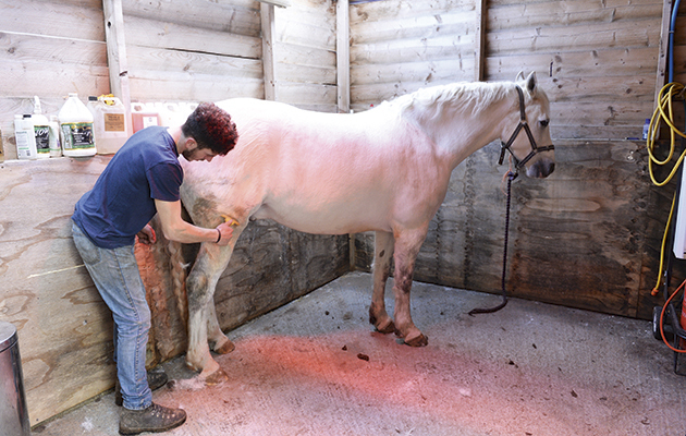 Zak Vaughan-Jones using some of his washing-up liquid at Sarah & Simon Parker's yard at Glebe Farm in Bronington near Whitcurch in Shropshire, UK on the 1st March 2016