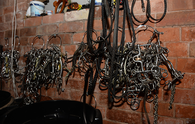 Some of the bits at Sarah and Simon Parker and the team at Glebe Farm in Bronington near Whitcurch in Shropshire, UK on the 1st March 2016