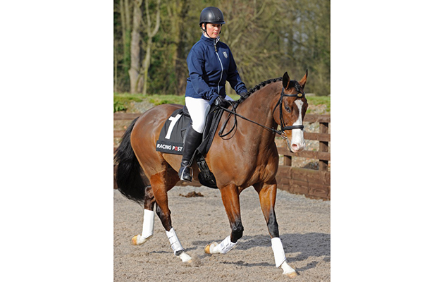 Champion Hurdle winner Punjabi set for RoR Parade appearance