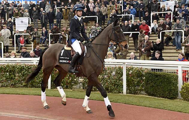Former Grand National winner Comply or Die parades before racing 15-3-16