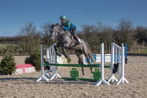 how to teach young horse to be a good jumper