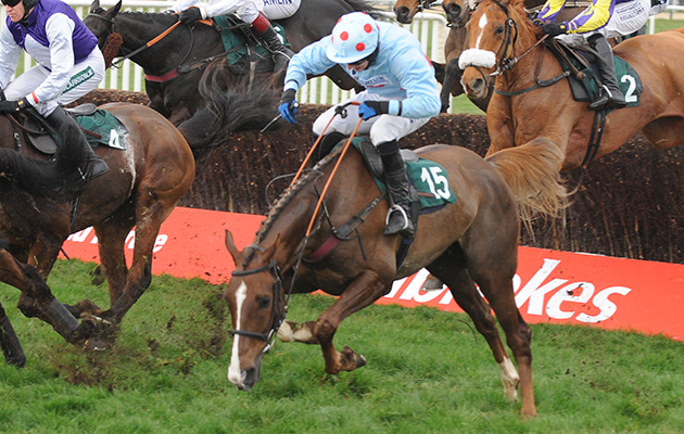 Cheltenham Festival 2009 day 3 , Freddie williams festival plate