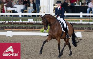 Andretti H — We bought Andy when I was starting out with Alf and Dougie had retired as a number two horse for me to get in the ring on. He had competed at GP level and was pretty straight forward at the movements but was very bad in the connection. He surpassed all our expectations when after a season with me he started to win many CDIs, the national championships twice and be my reserve for the team should Alf ever get injured. He then went on to give Lara Griffith her first taste at GP level and is now fat and hairy in the field with ALf. Both retired at a grand age still fit and well