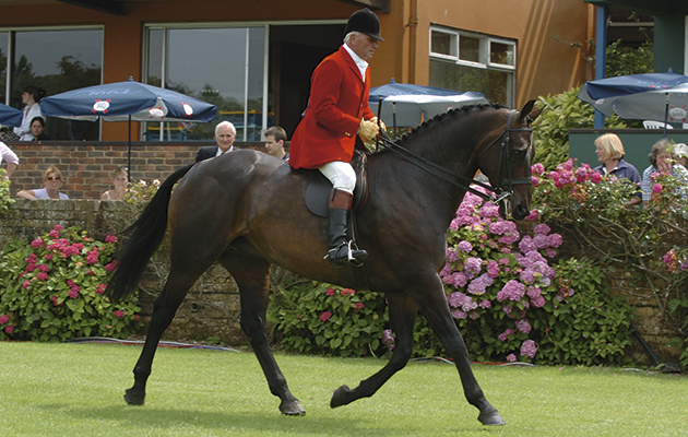 RIHS HIck. 22.07.04  Mister McEvoy supremem horse 2004