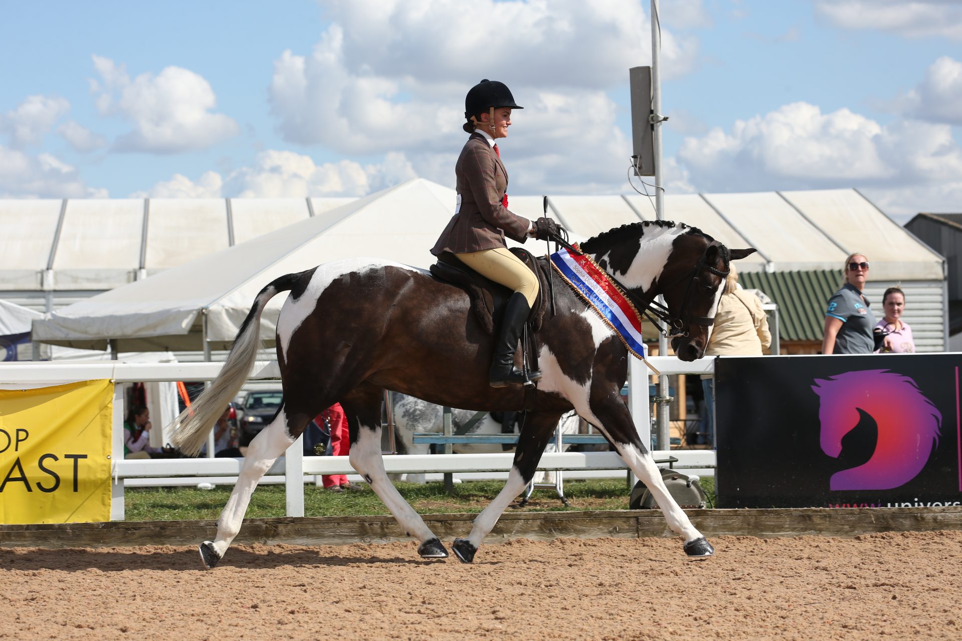 H&H’s guide to nonnative coloured showing classes Horse & Hound