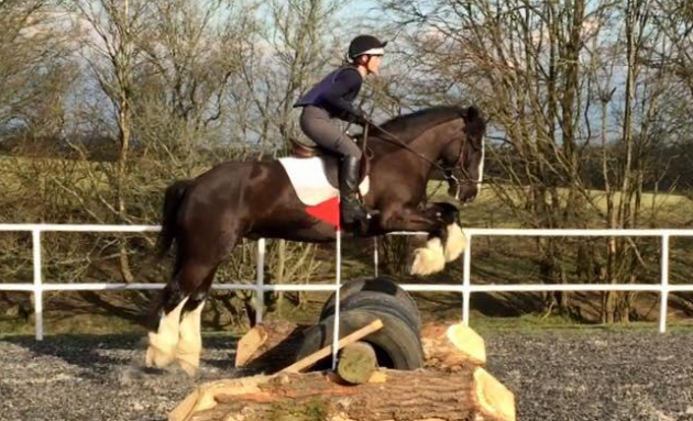 Screen Shot 2016-03-03 at 17.09.49