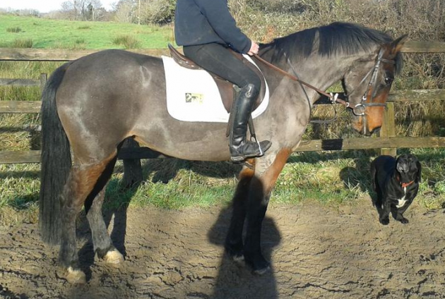 Screen Shot 2016-03-03 at 17.26.10