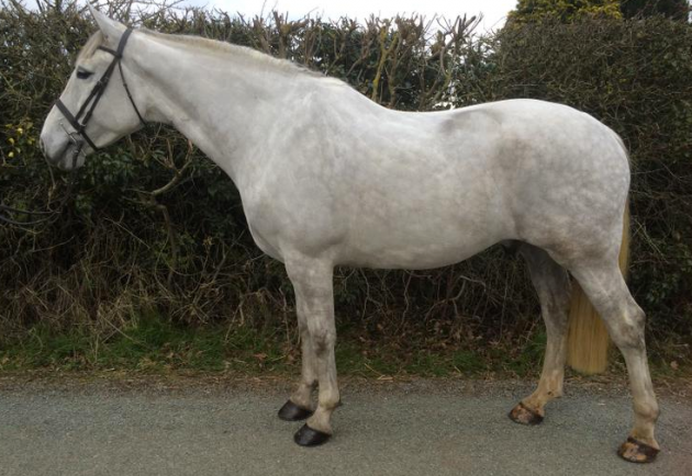 Screen Shot 2016-03-15 at 17.05.52