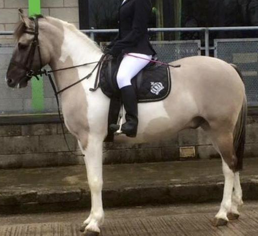 Screen Shot 2016-03-15 at 17.32.20