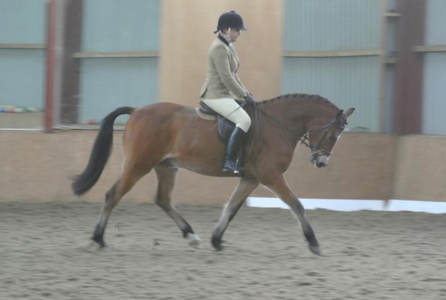 Screen Shot 2016-03-15 at 17.32.44