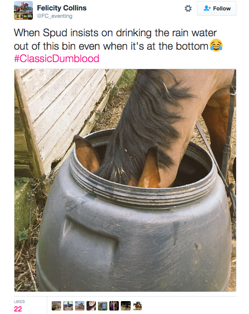 Screen Shot 2016-03-17 at 16.28.46