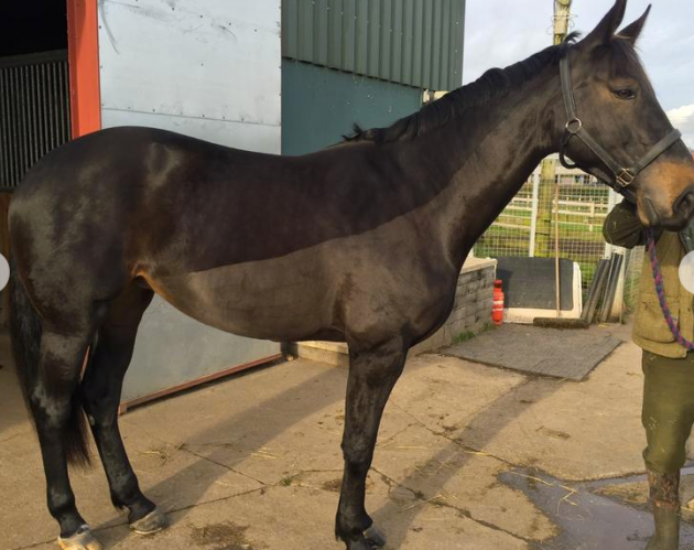 Screen Shot 2016-03-22 at 17.08.58