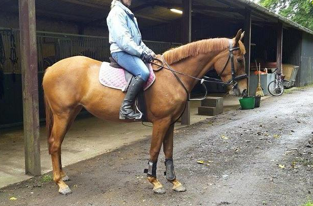 Screen Shot 2016-03-22 at 17.12.44