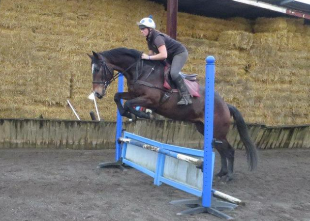 Screen Shot 2016-03-22 at 17.18.12