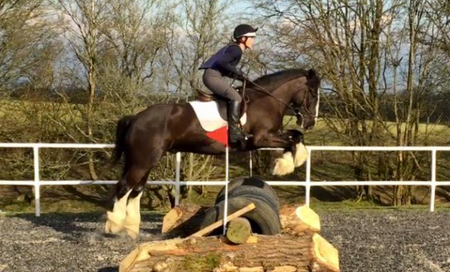 Screen Shot 2016-03-22 at 17.26.07