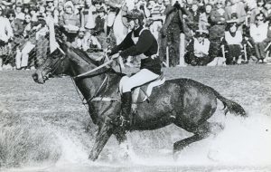 At his first Badminton, Mark and Southern Comfort were 45th after the dressage. But as one of only three inside the time on cross-country day, he was third going into the showjumping — and when When Lucinda Prior-Palmer and Helen Butler came unstuck in the final phase, Mark clinched the title.