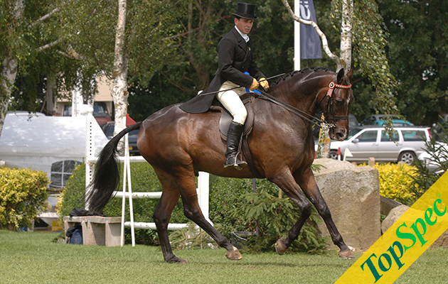 Broadstone Doulton Supreme horse RIHS 2005