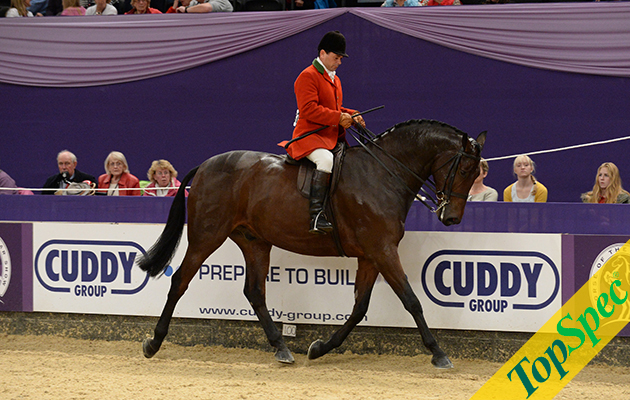 CEASERS PALACE ridden by Robert Walker in the Show Hunter of the Year at the Horse of the Year Show at the N. E. C. Birmingham, UK between 8th -12th October 2014