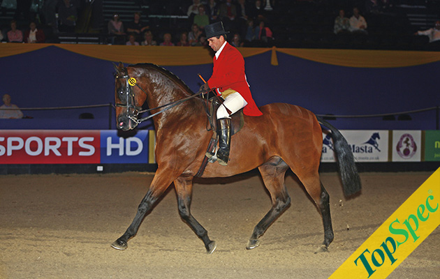 middleweight hunter pride and joy