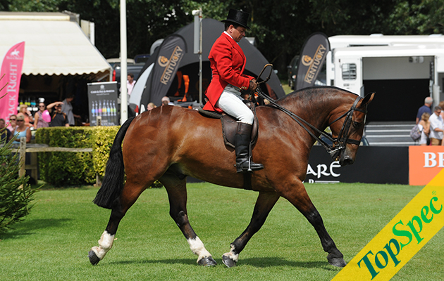 STARRY NIGHT exhibited by ROBERT WALKER and owned by CAMILLA NEAME during The Supreme Cob Championship at The Longines Royal International Horse Show in West Sussex, UK between 29 July and 3 August 2014