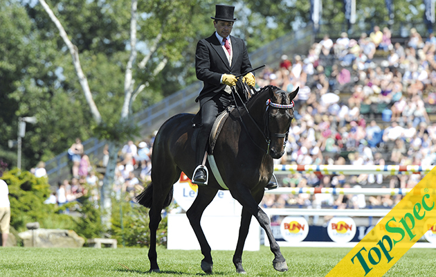 The British Horse Society Supreme Ridden Horse Championship - whalton forgery and robert walker