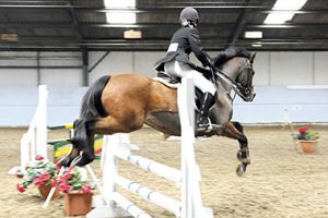 unaffiliated indoor show jumping