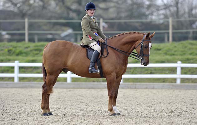 Master Bandsman ridden by Cerys Ford. Winner. Championship classes 20 to 21. Affiliated Spring Showing. Brook Farm Training Centre. Essex. 03/04/2016. MANDATORY Credit Garry Bowden/Sportinpictures - NO UNAUTHORISED USE - 07837 394578