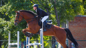 Young man riding horseback jumping on showjumping course