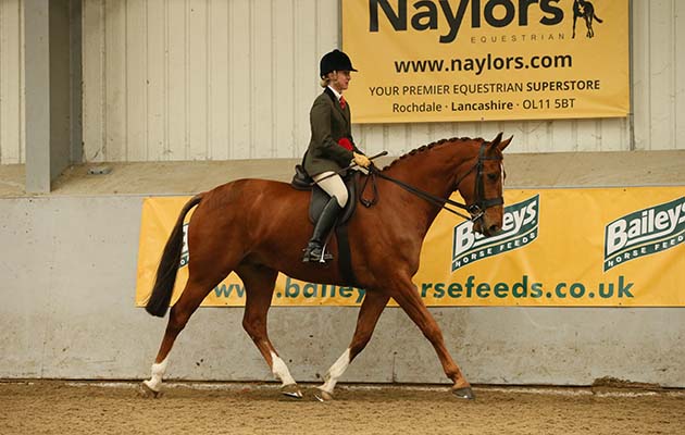 RIDDEN HUNTER CHAMPIONSHIP RIDDEN HUNTER CHAMPIONSHIP CHAMPION
37: MAVERICK MAYBE R: Niki Turner