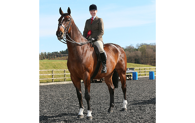 RIHS Amateur Heavyweight Hunter Class WINNER
31
BOSS
LUCINDA MARTIN