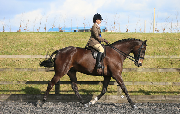 RIHS Amateur Hunter Championship RESERVE 7 FINKLE STREET JEMMA ELLlSON