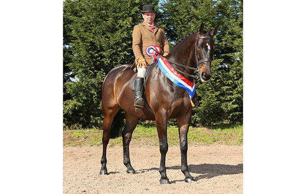 RIHS RIDDEN HUNTER CHAMPIONSHIP CHAMPION.
3 PRIDE OF PLACE
R: ROBERT WALKER