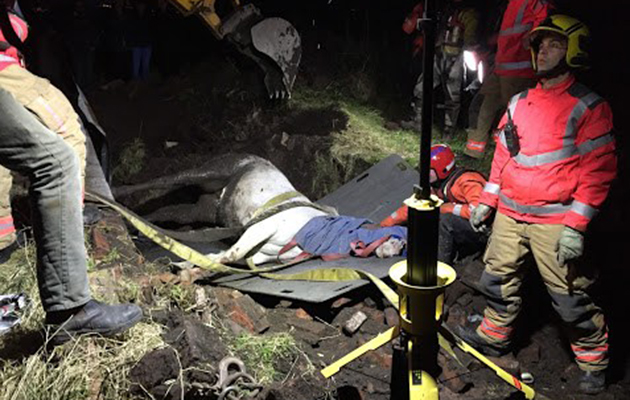 Aspull horse rescue ziona2