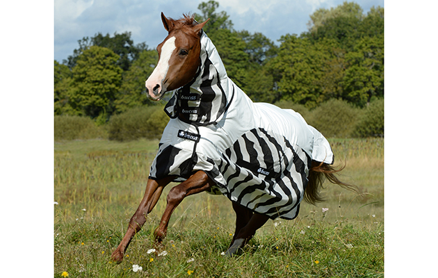 Buzz-Off_Rain_Zebra_0736