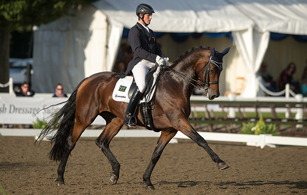 Michael Eilberg&Woodlander Dornroeschen - Saracen Horse Feeds Intermediare 1 Freestyle - Espayo National Dressage Championships 2013 - Stoneleigh Park, Warwickshire, United Kingdom - 21 September 2013