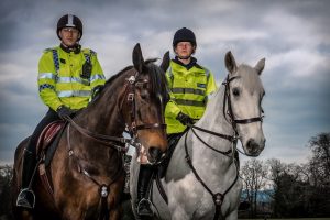 gloucestershire police horses