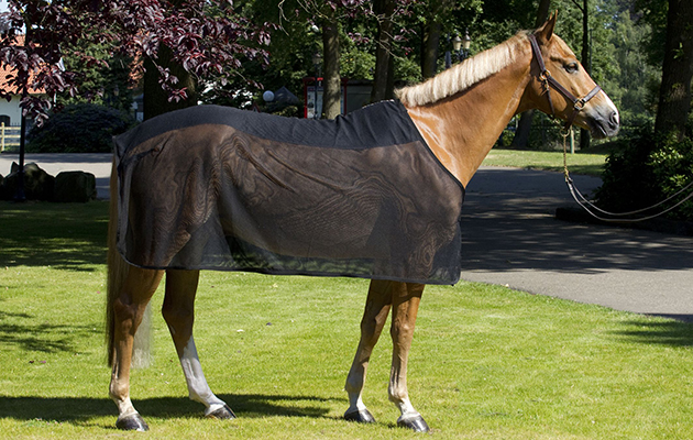 NTM 19 APRIL 2016 Mesh CoolerBack-on-Track_Mesh-Cooler-Rug