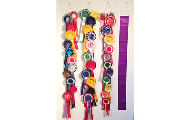 NTM 19 APRIL 2016 image5 rosette