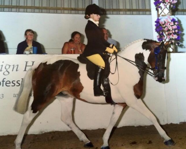 Screen Shot 2016-03-31 at 15.37.00