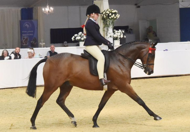 Screen Shot 2016-03-31 at 15.40.49