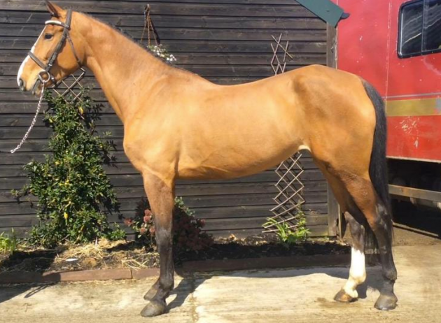 Screen Shot 2016-04-18 at 16.43.52