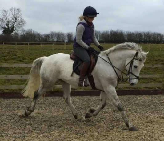 Screen Shot 2016-04-18 at 17.33.27