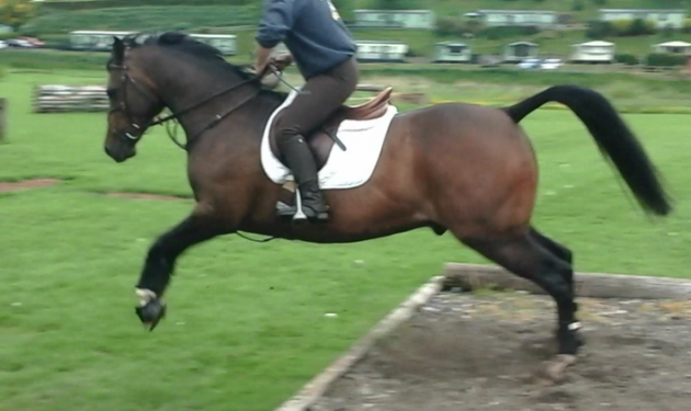 Screen Shot 2016-04-28 at 17.23.51