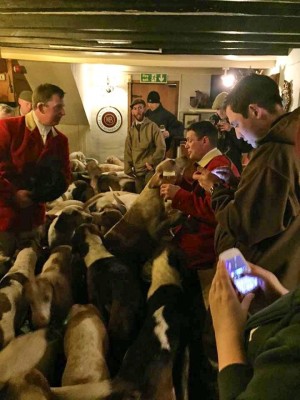 Hounds in the pub