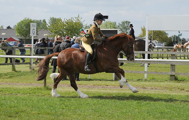 Nottinghamshire County Show 14.05.16