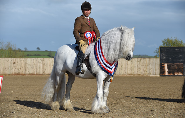 Murthwaite Ice Man  and Terry Clynes Horse No 104; Supreme Champion during The Showing Register Spring Show at Onley EC near Rugby in Warwickshire, UK on 2nd May 2016